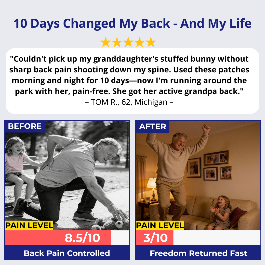 Japanese 9-Herb Relief Patches