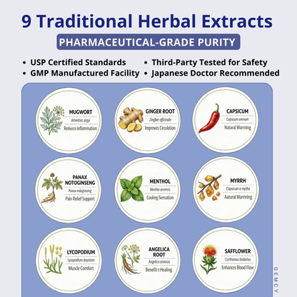 Japanese 9-Herb Relief Patches