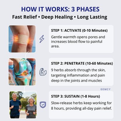 Japanese 9-Herb Relief Patches